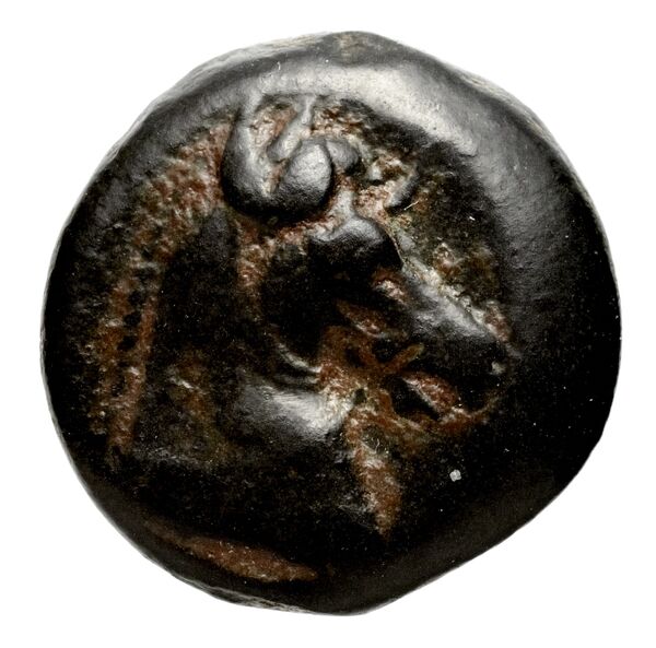 аверс Seleucid Coins (part 1) 146