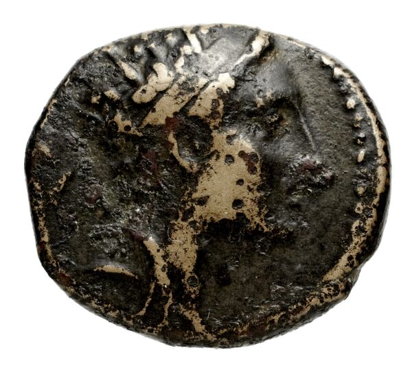 аверс Seleucid Coins (part 2) 1417.3a