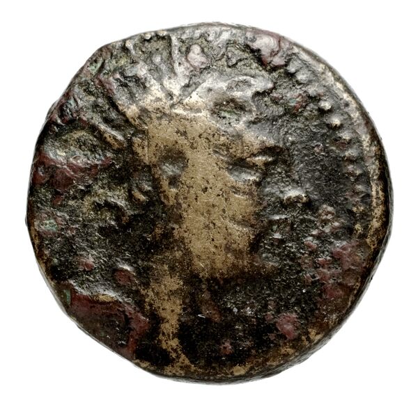 Seleucid Coins (part 2) 1417.4, аверс, BnF (HRC)