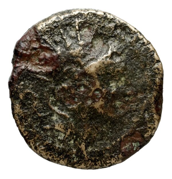 Seleucid Coins (part 2) 1426.1, аверс, BnF (HRC)