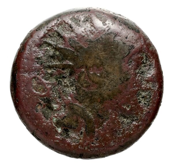 аверс Seleucid Coins (part 2) 1494.1b