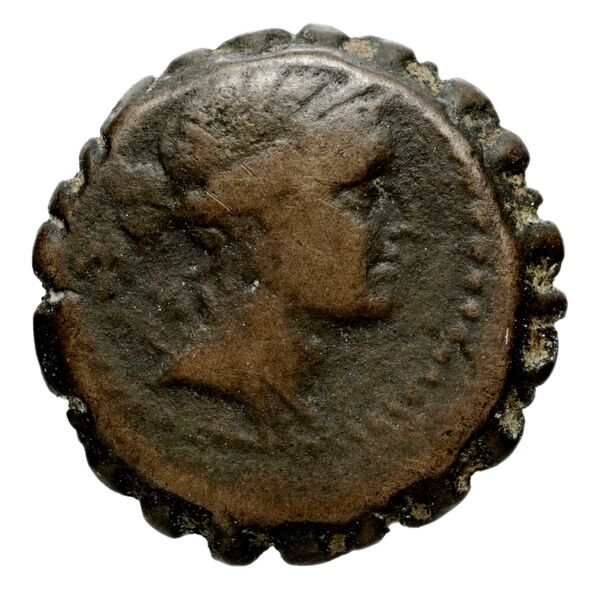 Seleucid Coins (part 2) 1317, аверс, BnF (HRC)
