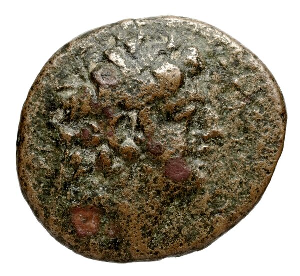 аверс Seleucid Coins (part 2) 2326.2