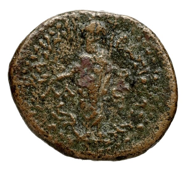 реверс Seleucid Coins (part 2) 2326.2