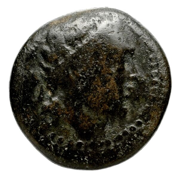 аверс Seleucid Coins (part 2) 1461.1