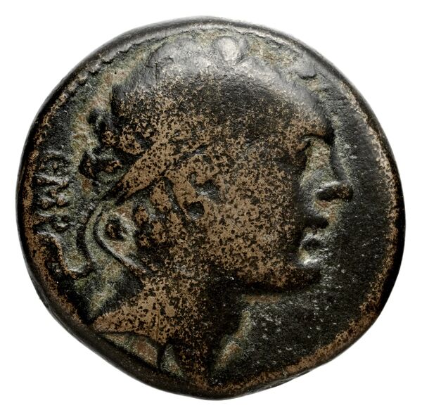 аверс Seleucid Coins (part 2) 1463.2