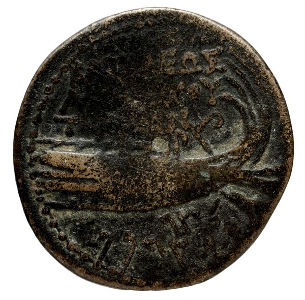 реверс Seleucid Coins (part 2) 1463.2