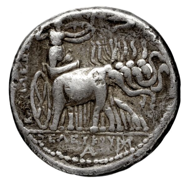 реверс Seleucid Coins (part 1) 130.20e