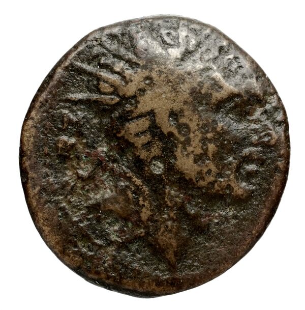 аверс Seleucid Coins (part 2) 1453i