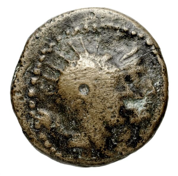 аверс Seleucid Coins (part 2) 1441