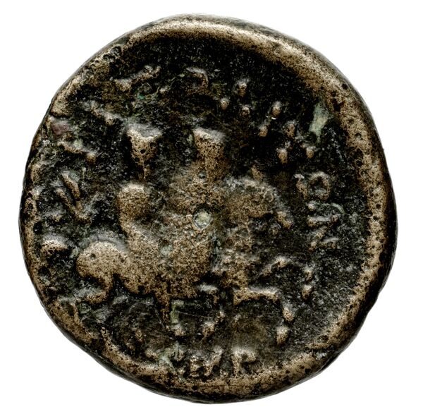 реверс Seleucid Coins (part 2) 1441