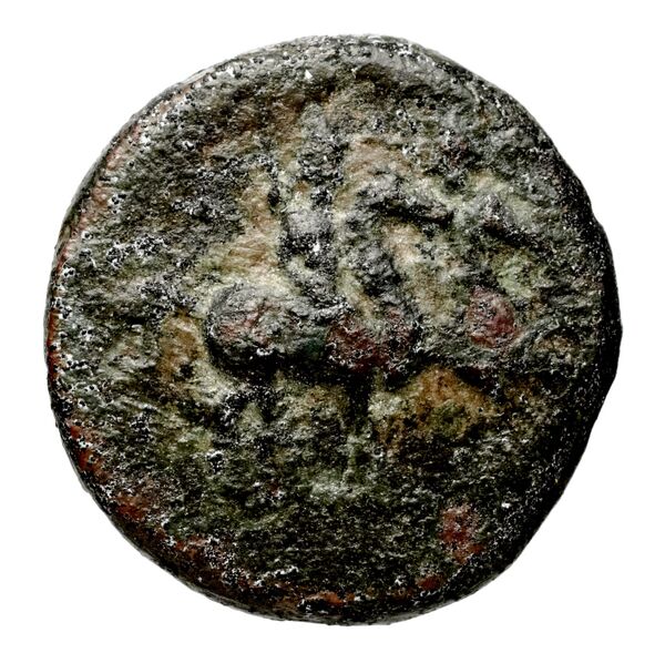 аверс Seleucid Coins (part 1) 566.1