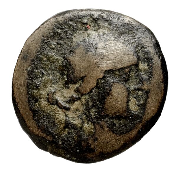 аверс Seleucid Coins (part 2) 2028.1