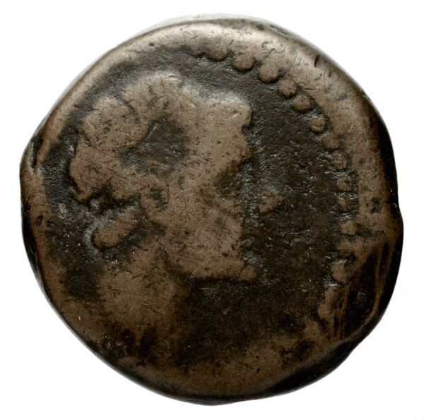 аверс Seleucid Coins (part 2) 1599