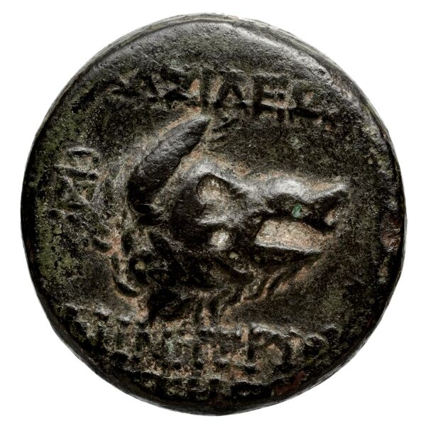 аверс Seleucid Coins (part 2) 1660d