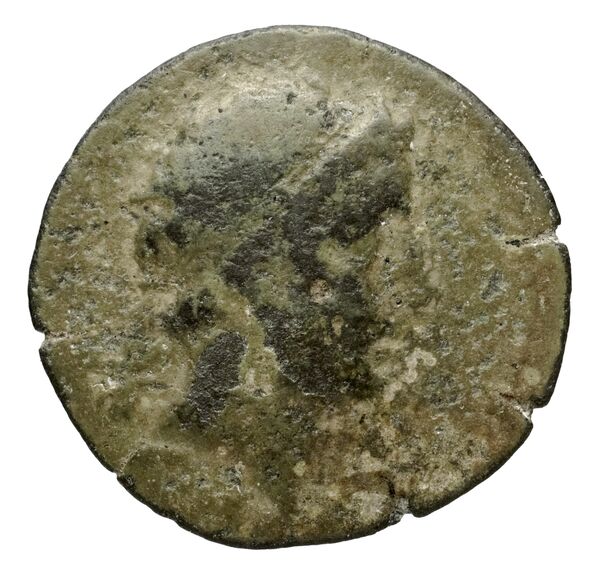 аверс Seleucid Coins (part 2) 1666
