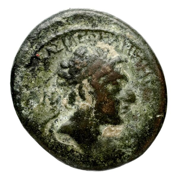 аверс Seleucid Coins (part 2) 1667.2
