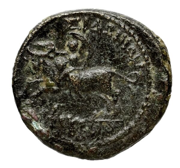 реверс Seleucid Coins (part 2) 1668.1