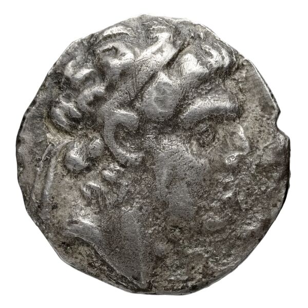Seleucid Coins (part 2) 1859, аверс, BnF (HRC)
