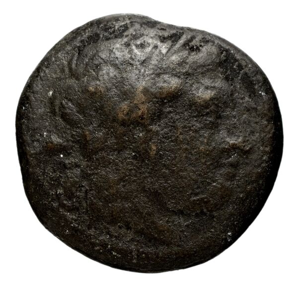 аверс Seleucid Coins (part 1) 15.3