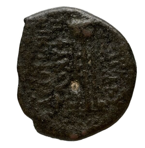 реверс Seleucid Coins (part 2) 2412