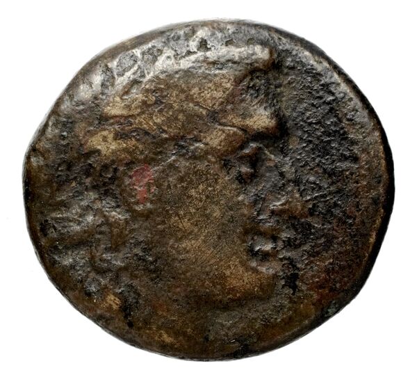 Seleucid Coins (part 1) 17.1, аверс, BnF (HRC)