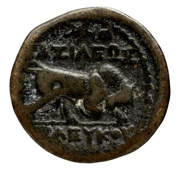 реверс Seleucid Coins (part 1) 149.2a