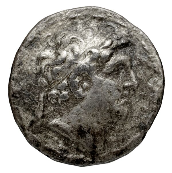 аверс Seleucid Coins (part 2) 1784.3h