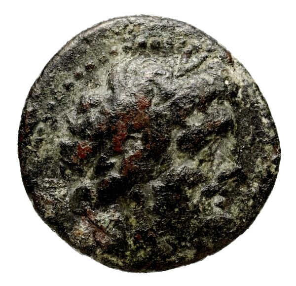 obverse Seleucid Coins (part 2) 2239a