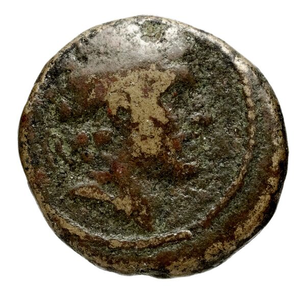 аверс Seleucid Coins (part 2) 1810