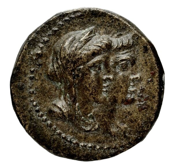аверс Seleucid Coins (part 2) 1843