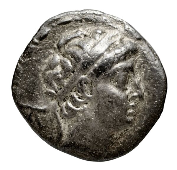 Seleucid Coins (part 2) 1986.1, аверс, BnF (HRC)