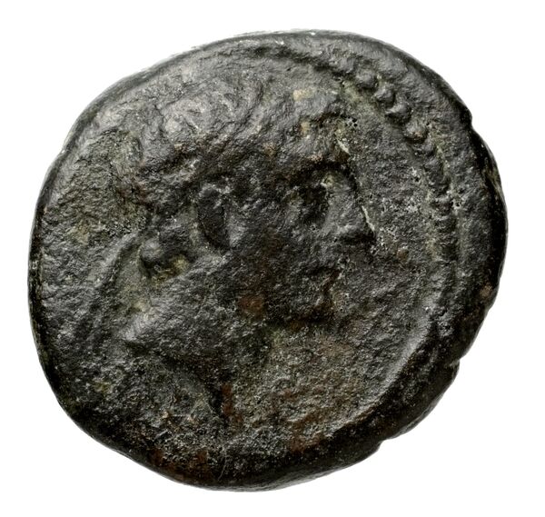 аверс Seleucid Coins (part 2) 1669.2