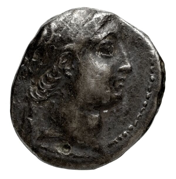 аверс Seleucid Coins (part 2) 1908.4