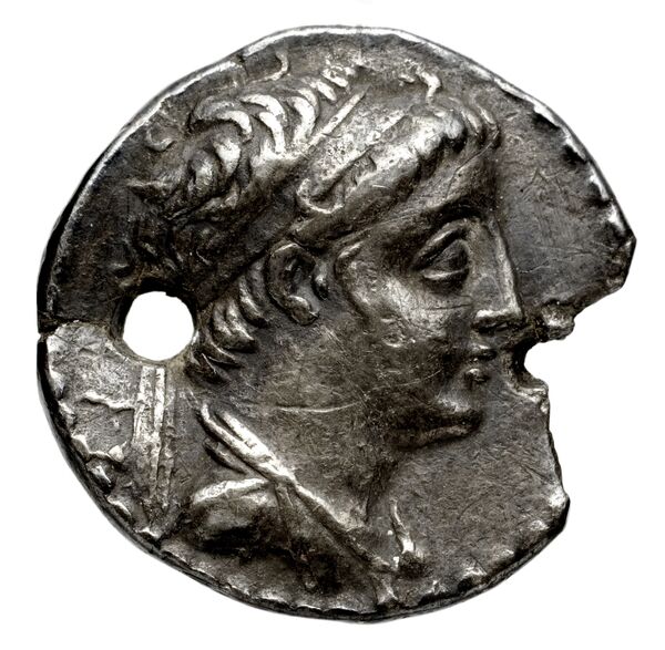 аверс Seleucid Coins (part 2) 1955.1