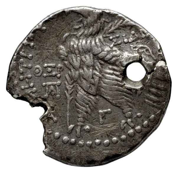 реверс Seleucid Coins (part 2) 1955.1