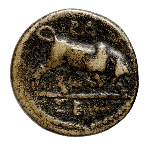реверс Seleucid Coins (part 1) 23