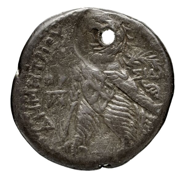 реверс Seleucid Coins (part 2) 1954.4