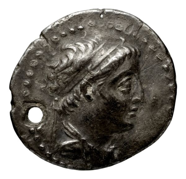 аверс Seleucid Coins (part 2) 1955.2b