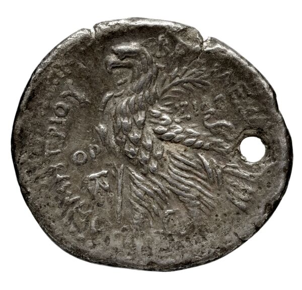 реверс Seleucid Coins (part 2) 1955.2b