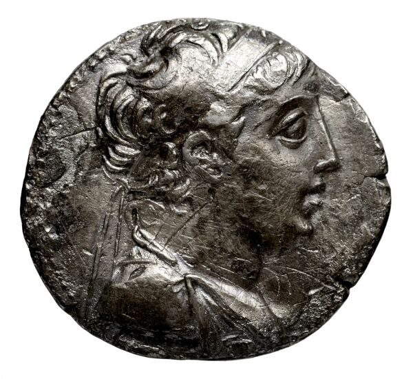 аверс Seleucid Coins (part 2) 1954.5b