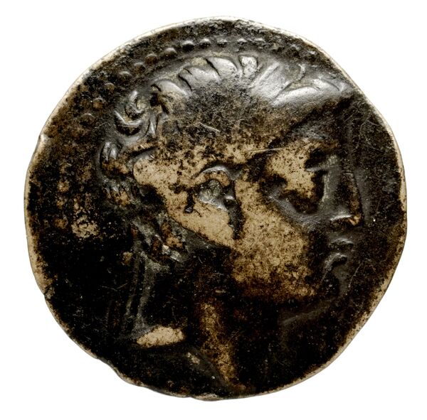 Seleucid Coins (part 2) 1968.2, аверс, bnf-hrc