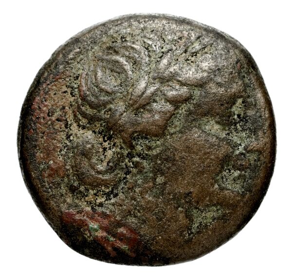 аверс Seleucid Coins (part 1) 774