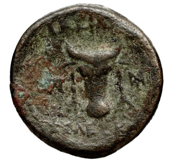 реверс Seleucid Coins (part 1) 774