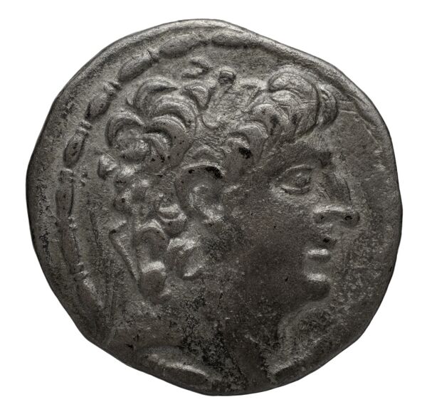 аверс Seleucid Coins (part 2) 2405.16