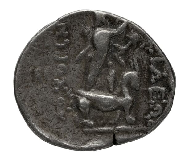 реверс Seleucid Coins (part 2) 2287