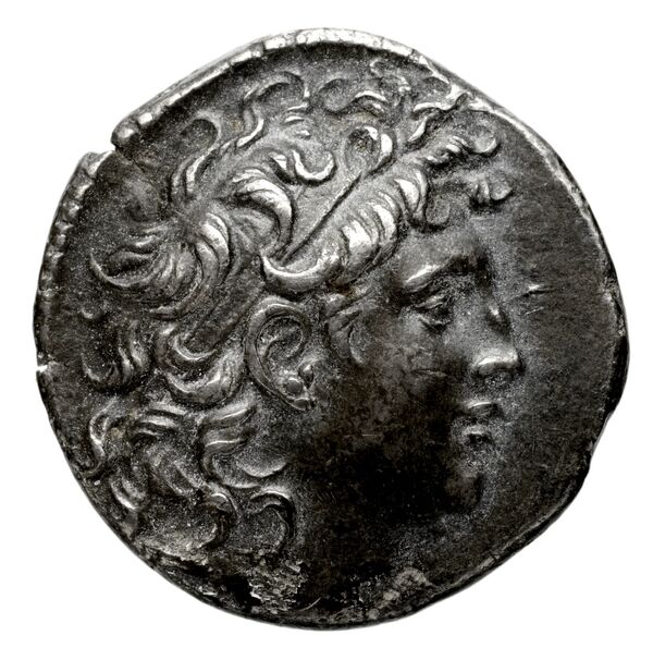 аверс Seleucid Coins (part 2) 2033e
