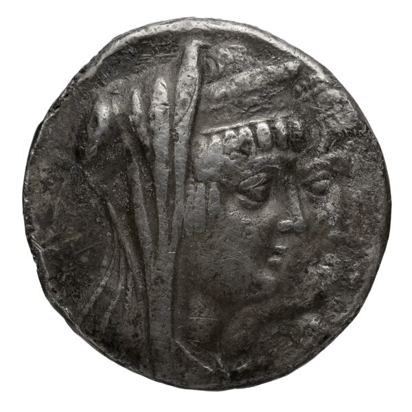 аверс Seleucid Coins (part 2) 2267.2b