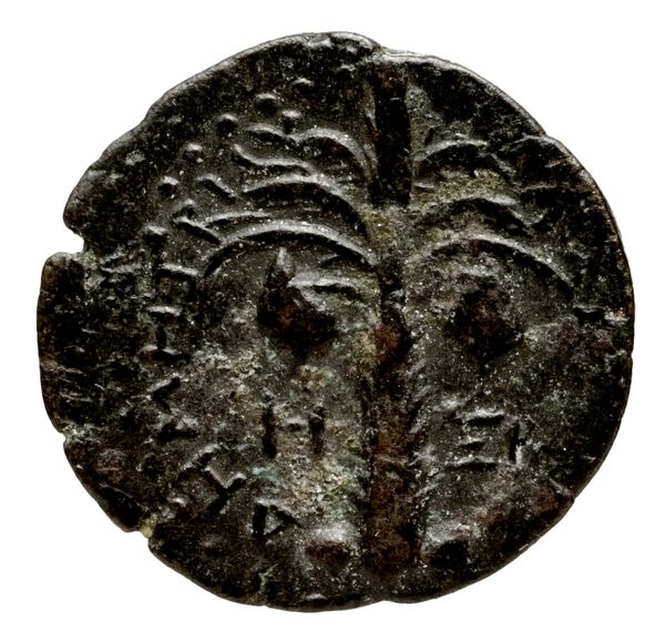 Seleucid Coins (part 2) 1970.2, реверс, bnf-hrc