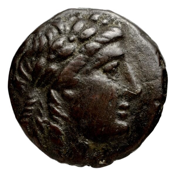 аверс Seleucid Coins (part 1) 955